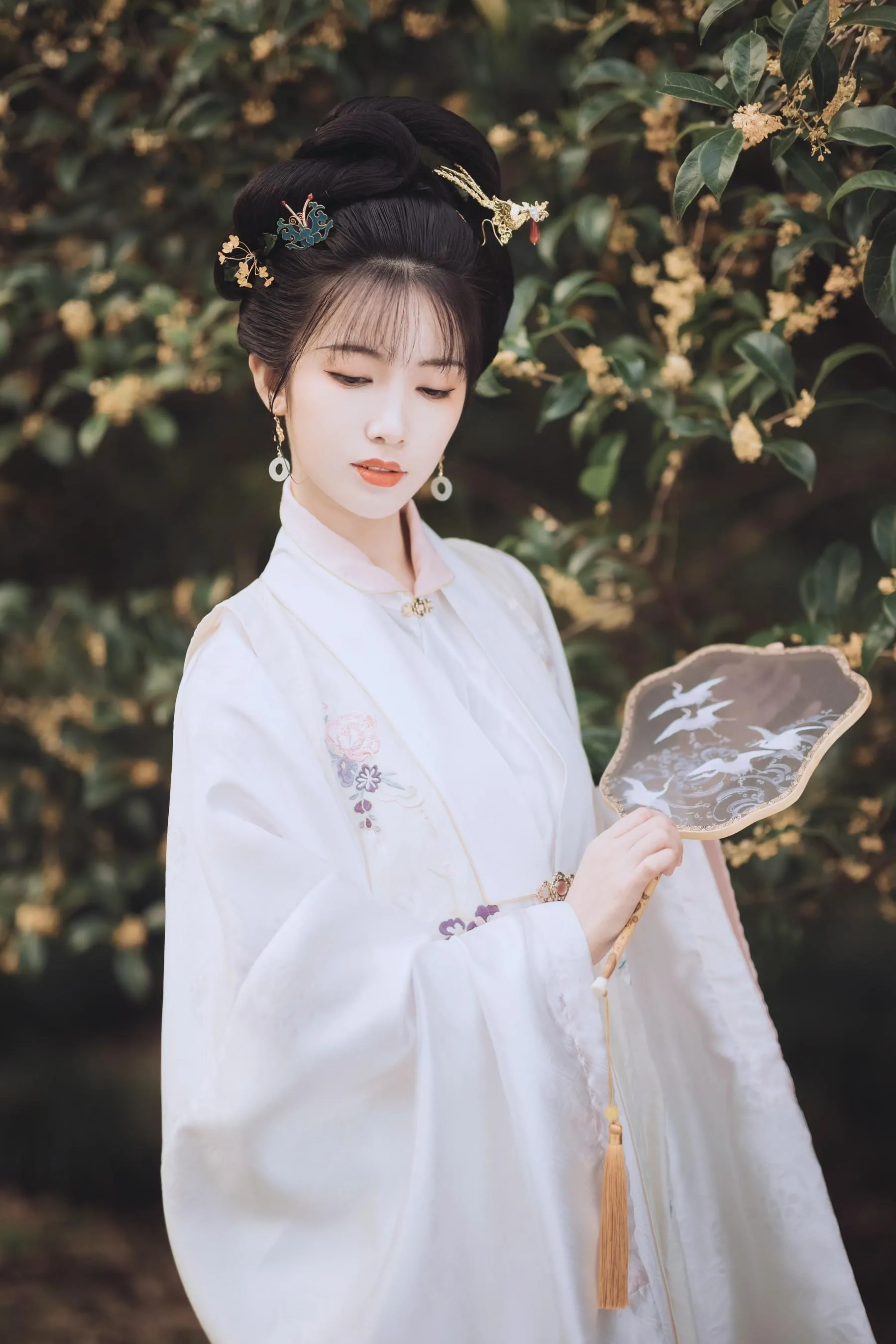 [YITUYU艺图语]2021.11.22 桂花酿 一只阿梦崽 [36P]插图